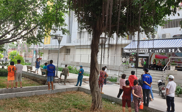 TP.HCM: Chi cục trưởng Chi cục Thi hành án dân sự quận Bình Tân rơi lầu chung cư Carina tử vong - Ảnh 2.