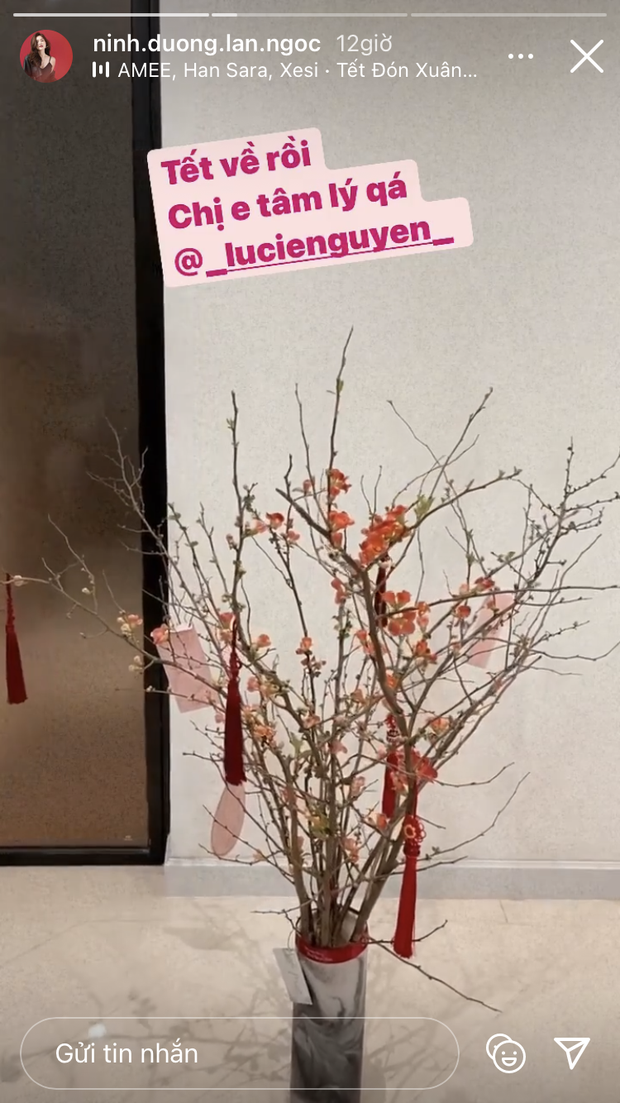 Sao Việt thi nhau khoe bình hoa xinh phát hờn, sắm theo để trưng Tết cho nhà cửa sang trang chị em ơi - Ảnh 3.