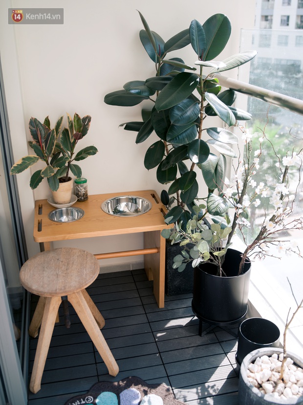 Julia Đoàn mua nhà 4 tỷ nhưng vẫn đi ở thuê 30 triệu/tháng, biết rõ lý do mới thấy sang thế nào - Ảnh 16.