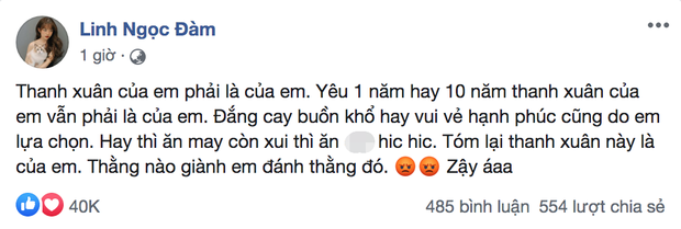 Linh Ngọc Đàm lên ngôi bánh tráng làng streamer: Phát ngôn rồi lật nhoay nhoáy, �tham dự không trượt drama nào - Ảnh 7.