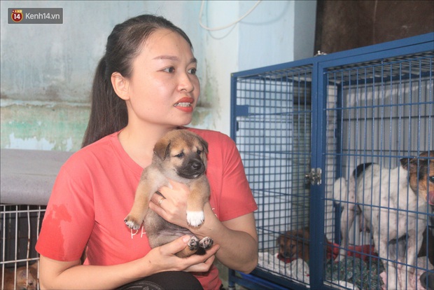 Người phụ nữ bán nhà để được làm “mẹ” của hàng trăm chú chó mèo bị bỏ rơi ở Đà Nẵng - Ảnh 9.