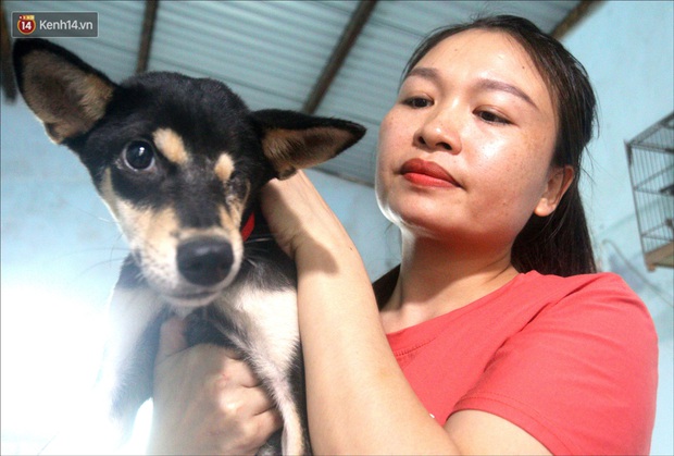 Người phụ nữ bán nhà để được làm “mẹ” của hàng trăm chú chó mèo bị bỏ rơi ở Đà Nẵng - Ảnh 4.
