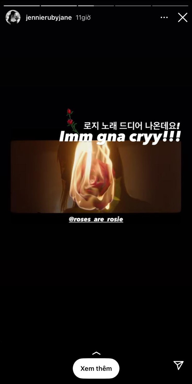 Lisa bị tấn công vì share trễ story ủng hộ màn debut solo của Rosé, fan BLACKPINK chiến nhau nảy lửa nhưng sự thật là gì? - Ảnh 6. Lisa bị tấn công vì share trễ story ủng hộ màn debut solo của Rosé, fan BLACKPINK chiến nhau nảy lửa nhưng sự thật là gì? - Ảnh 6.