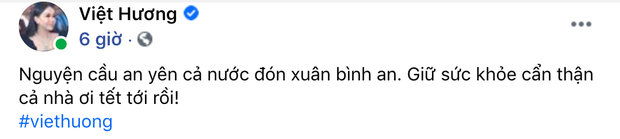 Trấn Thành kêu gọi đeo khẩu trang, NS Việt Hương - Xuân Bắc và cả Vbiz chung tay lan toả điều tích cực giữa dịch Covid-19 - Ảnh 3.