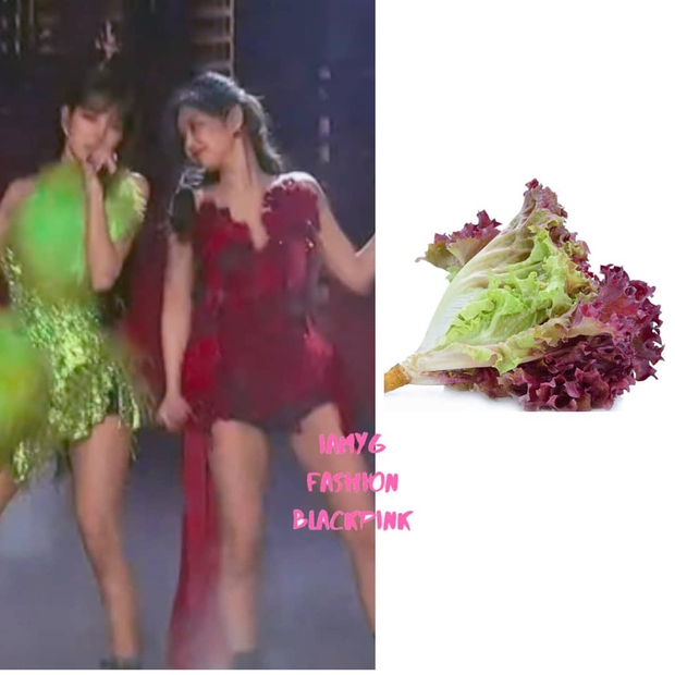 Tranh cãi bộ cánh xấu nhất của BLACKPINK tại THE SHOW: Jennie, Lisa như cây bắp cải; Jisoo, Rosé bị dìm dáng? - Ảnh 2. Tranh cãi bộ cánh xấu nhất của BLACKPINK tại THE SHOW: Jennie, Lisa như cây bắp cải; Jisoo, Rosé bị dìm dáng? - Ảnh 2.