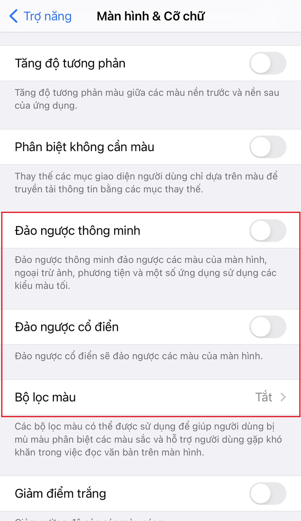 Ai cũng thích dùng iPhone nhưng không nhiều người biết cách chỉnh màu màn hình cực kỳ bá đạo này! - Ảnh 3.