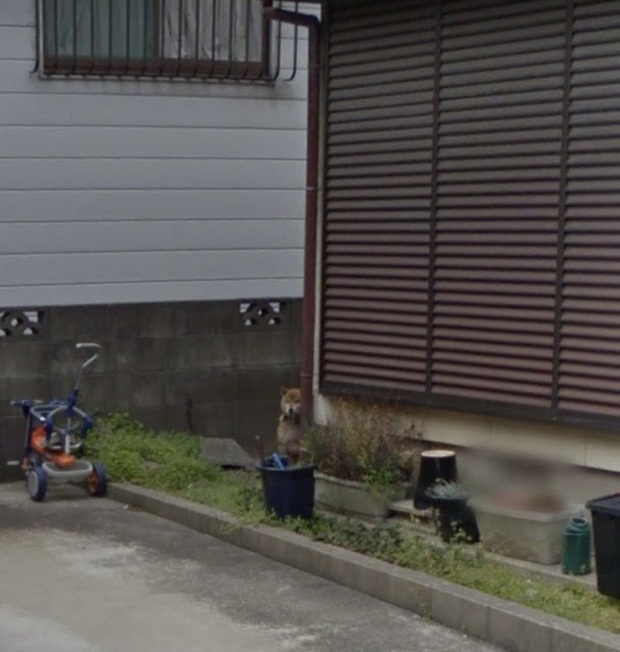 Dùng Google Earth tìm nhà mình, người đàn ông thấy người bố đã qua đời 7 năm đang đứng chờ một bóng dáng phía xa và mẩu chuyện gây xúc động - Ảnh 3.