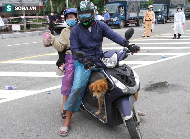 Xúc động hình ảnh thú cưng trên mọi nẻo đường hồi hương: Dù hành trình gian nan nhưng tất cả đều cùng nhau vượt qua - Ảnh 11. Xúc động hình ảnh thú cưng trên mọi nẻo đường hồi hương: Dù hành trình gian nan nhưng tất cả đều cùng nhau vượt qua - Ảnh 11.