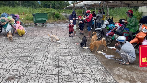 Xúc động hình ảnh thú cưng trên mọi nẻo đường hồi hương: Dù hành trình gian nan nhưng tất cả đều cùng nhau vượt qua - Ảnh 3. Xúc động hình ảnh thú cưng trên mọi nẻo đường hồi hương: Dù hành trình gian nan nhưng tất cả đều cùng nhau vượt qua - Ảnh 3.