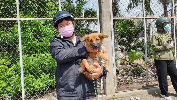 Xúc động hình ảnh thú cưng trên mọi nẻo đường hồi hương: Dù hành trình gian nan nhưng tất cả đều cùng nhau vượt qua - Ảnh 9. Xúc động hình ảnh thú cưng trên mọi nẻo đường hồi hương: Dù hành trình gian nan nhưng tất cả đều cùng nhau vượt qua - Ảnh 9.