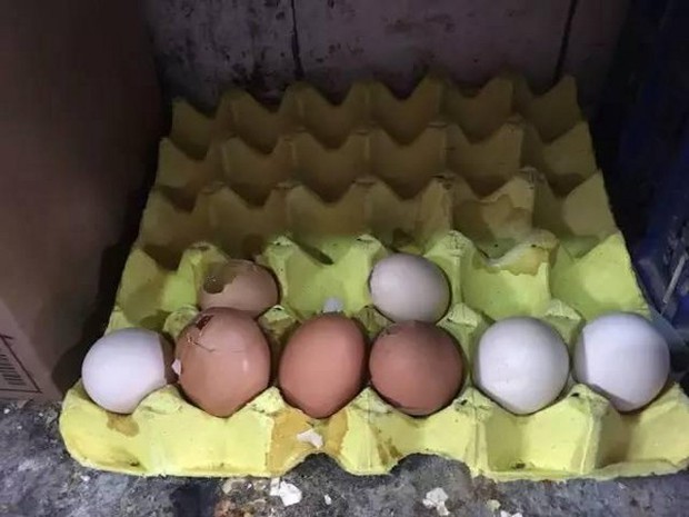 Cháu gái lỡ làm vỡ vỉ trứng trong siêu thị, nhân viên đề nghị bồi thường gấp 20 lần, cách xử lý của ông nội được khen ngợi vì quá khôn ngoan - Ảnh 3. Cháu gái lỡ làm vỡ vỉ trứng trong siêu thị, nhân viên đề nghị bồi thường gấp 20 lần, cách xử lý của ông nội được khen ngợi vì quá khôn ngoan - Ảnh 3.
