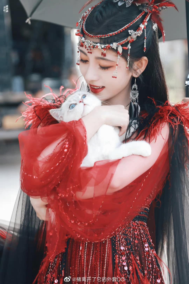 Cúc Tịnh Y hiện nguyên hình làm phượng hoàng đỏ đẹp chạm đỉnh, makeup vẫn lố nhưng thôi kệ một lần vậy! - Ảnh 2. Cúc Tịnh Y hiện nguyên hình làm phượng hoàng đỏ đẹp chạm đỉnh, makeup vẫn lố nhưng thôi kệ một lần vậy! - Ảnh 2.