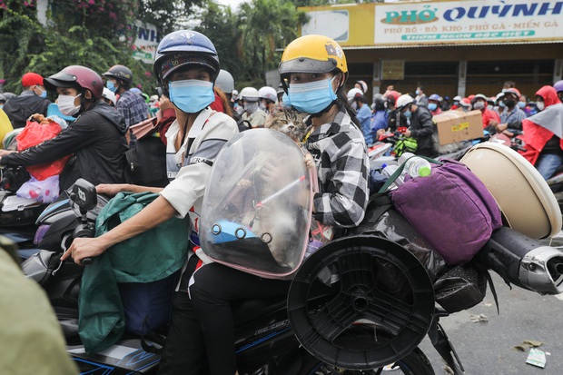 Xúc động hình ảnh thú cưng trên mọi nẻo đường hồi hương: Dù hành trình gian nan nhưng tất cả đều cùng nhau vượt qua - Ảnh 10. Xúc động hình ảnh thú cưng trên mọi nẻo đường hồi hương: Dù hành trình gian nan nhưng tất cả đều cùng nhau vượt qua - Ảnh 10.