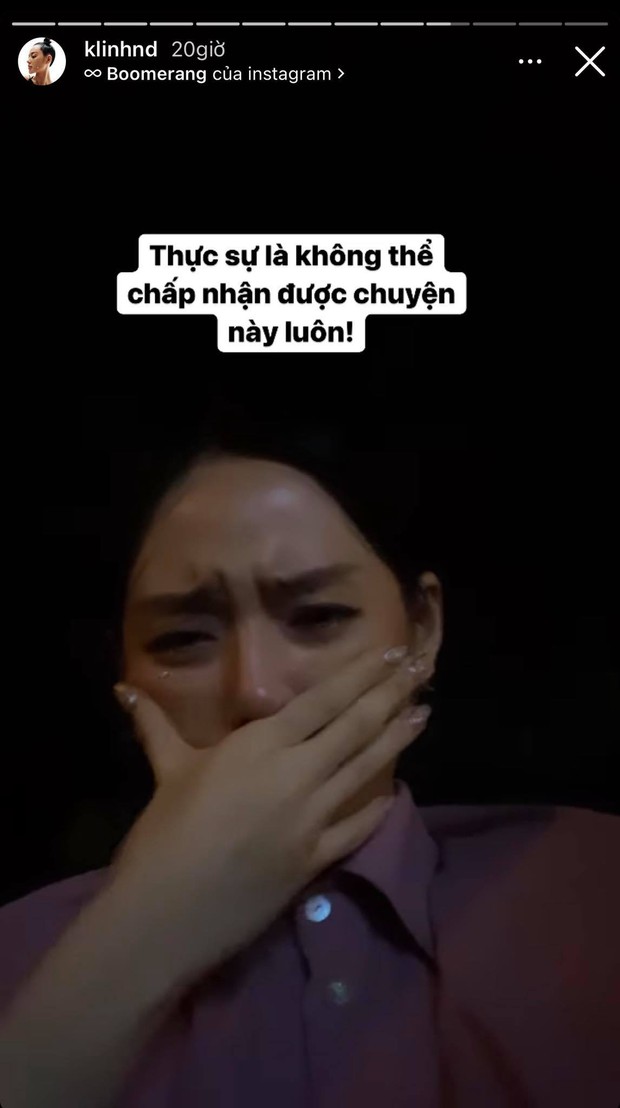 Cô em trendy Khánh Linh phản pháo khi bị chỉ trích giả tạo đến nổi da gà vì đăng clip rơi nước mắt thương 15 chú chó bị tiêu huỷ - Ảnh 2.
