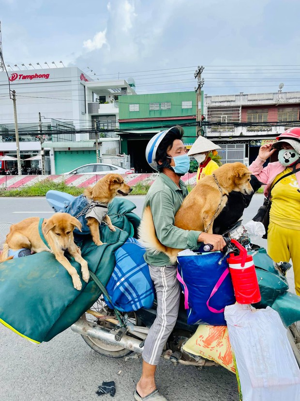 Vụ đàn chó 15 con bị tiêu huỷ: 1 chú cún may mắn sống sót, người chủ mới khẳng định sẽ tặng lại vì nó là 1 phần kỷ niệm của cô chú - Ảnh 3. Vụ đàn chó 15 con bị tiêu huỷ: 1 chú cún may mắn sống sót, người chủ mới khẳng định sẽ tặng lại vì nó là 1 phần kỷ niệm của cô chú - Ảnh 3.
