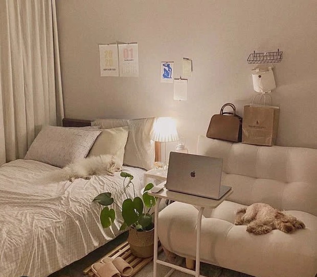 Gió lạnh về, dân tình nhanh nhanh bày thêm 7 món đồ này để nhà cửa thêm ấm áp, thơm tho - Ảnh 6.