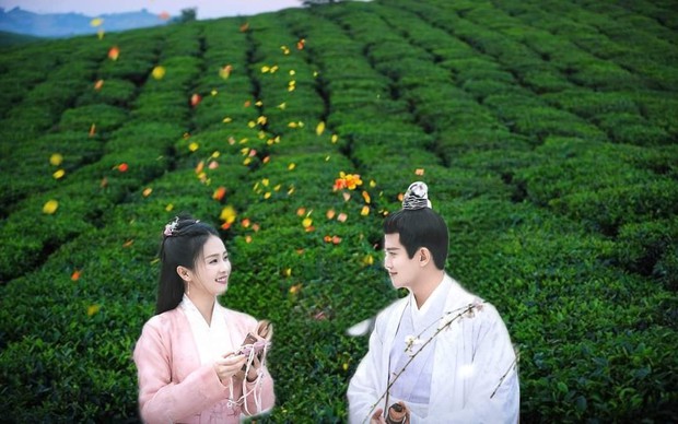 Rầm rộ bộ ảnh Nhậm Gia Luân - Bạch Lộc sang Việt Nam sau Châu Sinh Như Cố, ai dè nàng bỏ chàng đánh lẻ liền luôn? - Ảnh 3. Rầm rộ bộ ảnh Nhậm Gia Luân - Bạch Lộc sang Việt Nam sau Châu Sinh Như Cố, ai dè nàng bỏ chàng đánh lẻ liền luôn? - Ảnh 3.