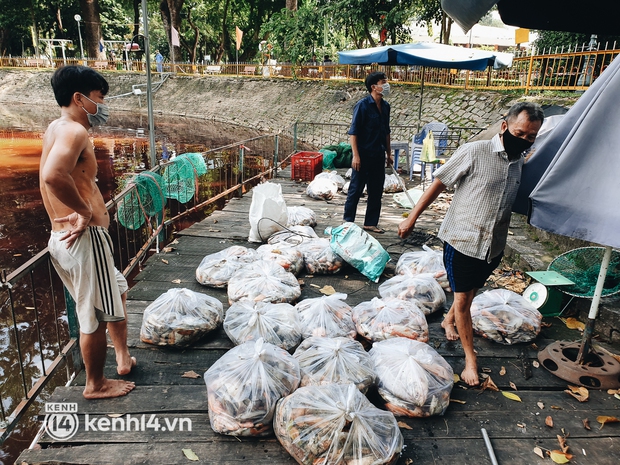 Cận cảnh 2 tấn cá chết bốc mùi trong công viên Hoàng Văn Thụ ở TP.HCM - Ảnh 7.