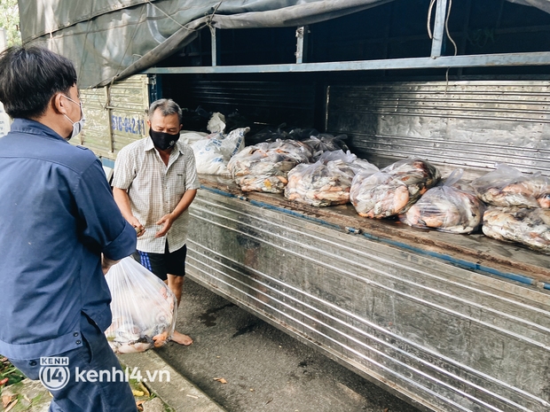 Cận cảnh 2 tấn cá chết bốc mùi trong công viên Hoàng Văn Thụ ở TP.HCM - Ảnh 13.
