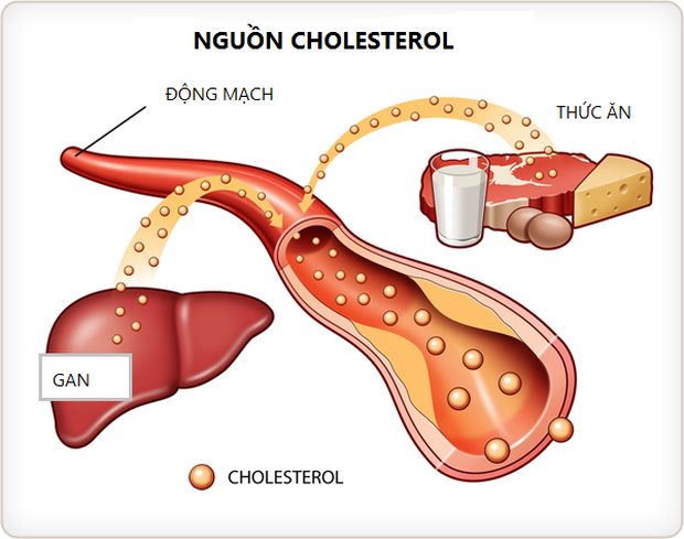 Căn bệnh gây chết người này có thể không có triệu chứng ngoại trừ dấu hiệu ở bàn chân, nếu tinh ý nhận ra bạn sẽ cứu được mình - Ảnh 4. Căn bệnh gây chết người này có thể không có triệu chứng ngoại trừ dấu hiệu ở bàn chân, nếu tinh ý nhận ra bạn sẽ cứu được mình - Ảnh 4.