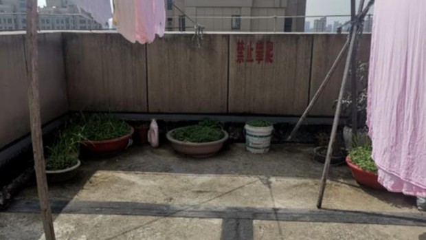 Ném chậu cây từ tầng 17 xuống đất khiến người đi đường suýt chết, chủ nhà bị bắt ngay lập tức - Ảnh 2. Ném chậu cây từ tầng 17 xuống đất khiến người đi đường suýt chết, chủ nhà bị bắt ngay lập tức - Ảnh 2.