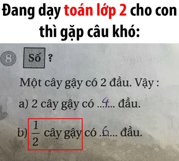 Câu đố mẹo siêu dễ dành cho học sinh lớp 2: Một cây gậy có 2 đầu. Hỏi nửa cây gậy có bao nhiêu đầu? - Ảnh 1. Câu đố mẹo siêu dễ dành cho học sinh lớp 2: Một cây gậy có 2 đầu. Hỏi nửa cây gậy có bao nhiêu đầu? - Ảnh 1.