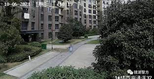Ném chậu cây từ tầng 17 xuống đất khiến người đi đường suýt chết, chủ nhà bị bắt ngay lập tức - Ảnh 3. Ném chậu cây từ tầng 17 xuống đất khiến người đi đường suýt chết, chủ nhà bị bắt ngay lập tức - Ảnh 3.