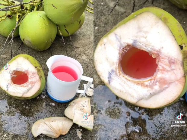 Cô gái khoe nhà có dừa đỏ được gạ 100 triệu cũng không bán, dân mạng bóc mẽ: Tưởng mình em ở miền Tây hả? - Ảnh 3. Cô gái khoe nhà có dừa đỏ được gạ 100 triệu cũng không bán, dân mạng bóc mẽ: Tưởng mình em ở miền Tây hả? - Ảnh 3.