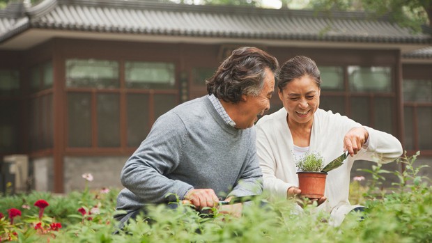 Giới trẻ rộ lên trào lưu nghỉ hưu sớm, thế mà nhiều người lớn tuổi phát rồ sau khi về hưu, cớ sao lại có chuyện ngược đời vậy? - Ảnh 4. Giới trẻ rộ lên trào lưu nghỉ hưu sớm, thế mà nhiều người lớn tuổi phát rồ sau khi về hưu, cớ sao lại có chuyện ngược đời vậy? - Ảnh 4.