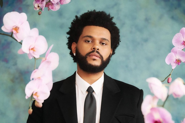 The Weeknd là ai mà hẹn hò cả 3 siêu mỹ nhân Selena Gomez, Bella Hadid và Angelina Jolie? Nhìn pro5 xỉu luôn trời! - Ảnh 2.