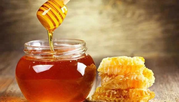 Trong gia đình nếu có người cao tuổi, nên cho họ ăn 5 loại thực phẩm này: Giúp cơ thể được bồi bổ và tinh thần minh mẫn! - Ảnh 3. Trong gia đình nếu có người cao tuổi, nên cho họ ăn 5 loại thực phẩm này: Giúp cơ thể được bồi bổ và tinh thần minh mẫn! - Ảnh 3.