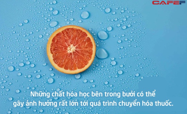 Tuyệt đối không nên ăn loại quả này, dù chỉ 1 miếng sau khi uống thuốc: Vitamin chẳng thấy đâu, còn rước thêm rủi ro nguy hiểm - Ảnh 1. Tuyệt đối không nên ăn loại quả này, dù chỉ 1 miếng sau khi uống thuốc: Vitamin chẳng thấy đâu, còn rước thêm rủi ro nguy hiểm - Ảnh 1.