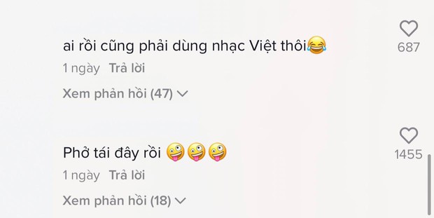 Vnet ngỡ ngàng khi xem TikToker người Lebanon nấu phở, còn dùng bài hát trendy của Việt Nam làm nhạc nền rất có tâm - Ảnh 8.