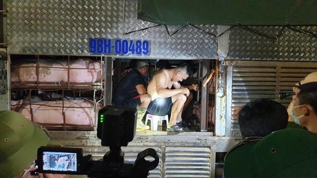 4 người trốn trong xe chở heo qua chốt vào Quảng Ninh - Ảnh 1.