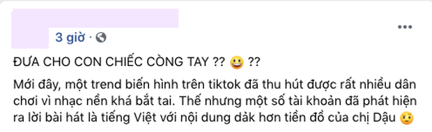 TikTok Việt Nam lên tiếng về trào lưu gắn với ca khúc cổ suý chuyện loạn luân của rapper Chị Cả, hashtag liên quan cũng bị gỡ bỏ! - Ảnh 6.