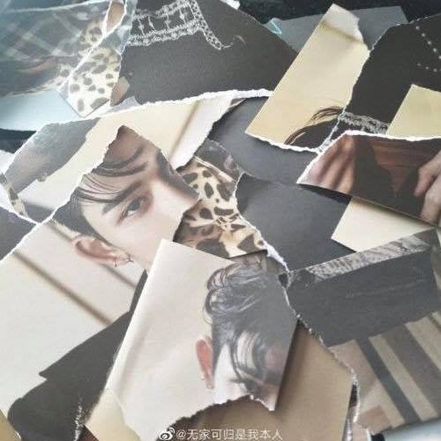Kết cục của 1 ngôi sao gãy cánh: Tấm ảnh fan từng tranh nhau mua giờ thành khăn trải bàn lượm từ bãi rác? - Ảnh 4. Kết cục của 1 ngôi sao gãy cánh: Tấm ảnh fan từng tranh nhau mua giờ thành khăn trải bàn lượm từ bãi rác? - Ảnh 4.