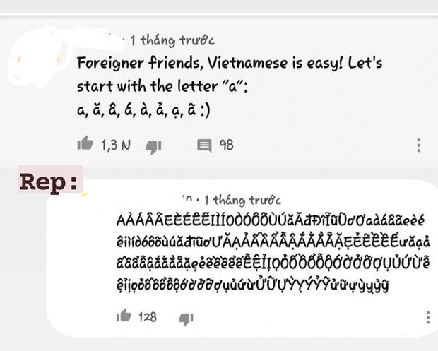 Người nước ngoài chê tiếng Việt dễ lắm, chỉ cần thêm dấu cho chữ a là xong, ai ngờ bị phản dame mạnh thế này - Ảnh 1. Người nước ngoài chê tiếng Việt dễ lắm, chỉ cần thêm dấu cho chữ a là xong, ai ngờ bị phản dame mạnh thế này - Ảnh 1.