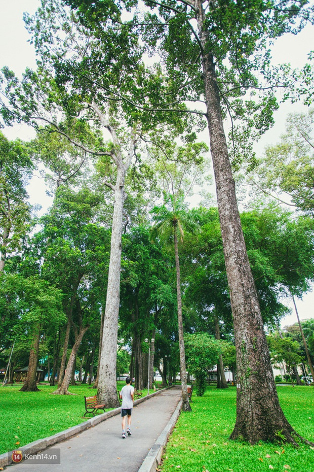 Công viên Tao Đàn (Sài Gòn) lọt top những địa điểm kinh dị nhất thế giới, nguyên nhân đến từ lời đồn thất thiệt năm xưa? - Ảnh 2. Công viên Tao Đàn (Sài Gòn) lọt top những địa điểm kinh dị nhất thế giới, nguyên nhân đến từ lời đồn thất thiệt năm xưa? - Ảnh 2.