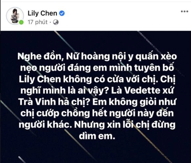 Lily Chen cứ dăm phút lại cho lên sóng 1 status gay gắt, nói gì mà nhiều người đồn quyết khô máu với Ngọc Trinh? - Ảnh 4.