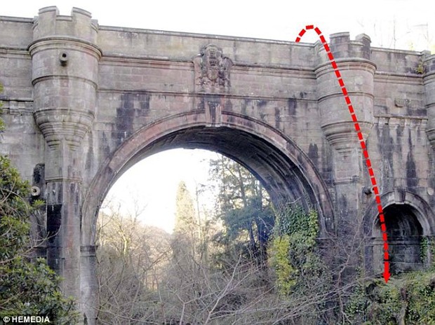 Bí ẩn cây cầu rùng rợn nơi 600 chú chó nhảy xuống tự tử trong 70 năm qua - Ảnh 4.