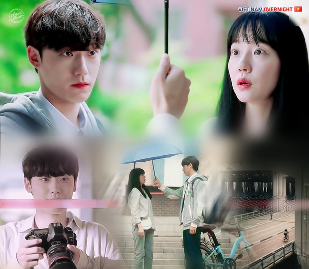 Loạt phim Hàn mới mở điểm cao ngất ở Douban: Bom tấn của Song Hye Kyo bét bảng, bom xịt rating lại đứng đầu - Ảnh 4. Loạt phim Hàn mới mở điểm cao ngất ở Douban: Bom tấn của Song Hye Kyo bét bảng, bom xịt rating lại đứng đầu - Ảnh 4.