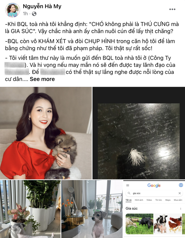 Nuôi thú cưng tại chung cư có bị cấm hay không? - Ảnh 1.