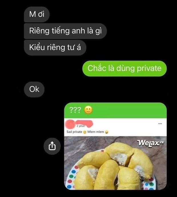 Cô gái dịch từ sầu riêng sang Tiếng Anh rồi vô tư đăng công khai, bạn bè đọc xong cũng phải thấy xấu hổ giùm - Ảnh 1. Cô gái dịch từ sầu riêng sang Tiếng Anh rồi vô tư đăng công khai, bạn bè đọc xong cũng phải thấy xấu hổ giùm - Ảnh 1.