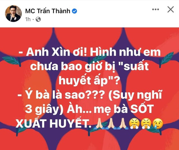 Trấn Thành kể chuyện Hari Won nói sai tiếng Việt, tưởng vui ai ngờ bị netizen mắng giả trân khi cô đã ở Việt Nam suốt 14 năm rồi! - Ảnh 2.