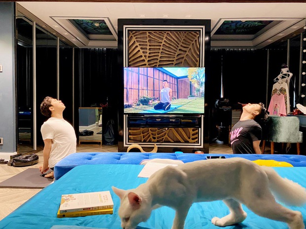 Trấn Thành buồn bã thông báo mèo cưng mất vì nguyên do gây phẫn nộ, là lời cảnh tỉnh cho người nuôi thú cưng ở chung cư - Ảnh 5. Trấn Thành buồn bã thông báo mèo cưng mất vì nguyên do gây phẫn nộ, là lời cảnh tỉnh cho người nuôi thú cưng ở chung cư - Ảnh 5.