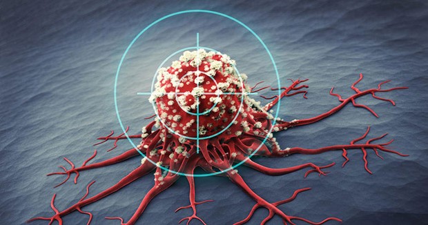 5 đặc điểm của một người có cơ thể miễn dịch với bệnh ung thư, chỉ cần có 2/5 thôi bạn cũng đã rất may mắn, tế bào ung thư sẽ không thể tấn công bạn - Ảnh 1.