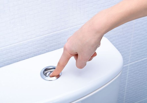 8 sự thật thú vị về nhà vệ sinh, đọc xong không còn thấy đây là nơi tầm thường nữa - Ảnh 5. 8 sự thật thú vị về nhà vệ sinh, đọc xong không còn thấy đây là nơi tầm thường nữa - Ảnh 5.