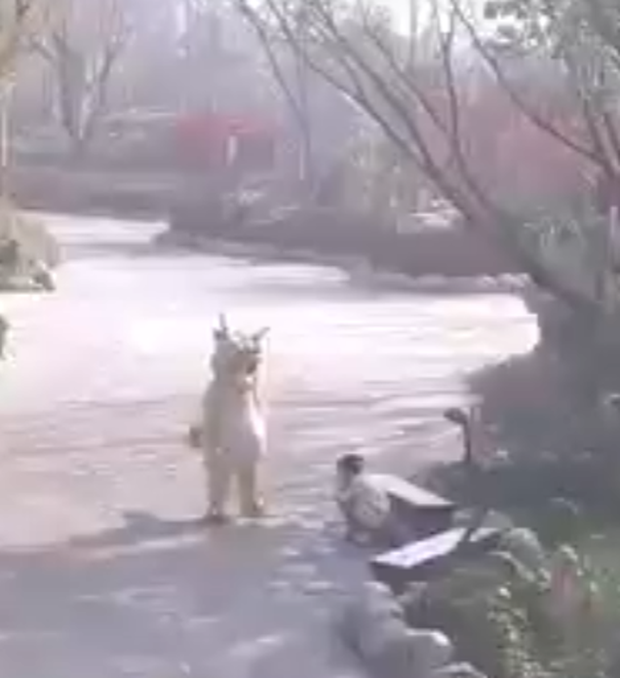 Thấy cô gái khóc nức nở một mình, chú rồng vàng chạy ra an ủi làm tan chảy trái tim cộng đồng mạng - Ảnh 2. Thấy cô gái khóc nức nở một mình, chú rồng vàng chạy ra an ủi làm tan chảy trái tim cộng đồng mạng - Ảnh 2.