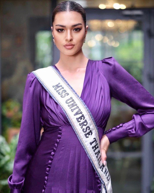 Hoa hậu Thái Lan bị kiện vì đứng lên quốc kỳ trong bức ảnh quảng bá Miss Universe - Ảnh 4.