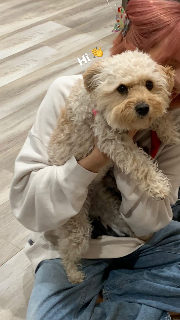 Chưa biết Lisa (BLACKPINK) lây Covid-19 từ đâu, nhưng nhìn danh sách bạn bè đã tiếp xúc suốt 2 tuần qua mà choáng! - Ảnh 9. Chưa biết Lisa (BLACKPINK) lây Covid-19 từ đâu, nhưng nhìn danh sách bạn bè đã tiếp xúc suốt 2 tuần qua mà choáng! - Ảnh 9.